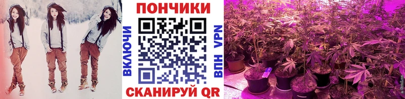 Бошки марихуана THC 21%  Купить закладки  Адыгейск 